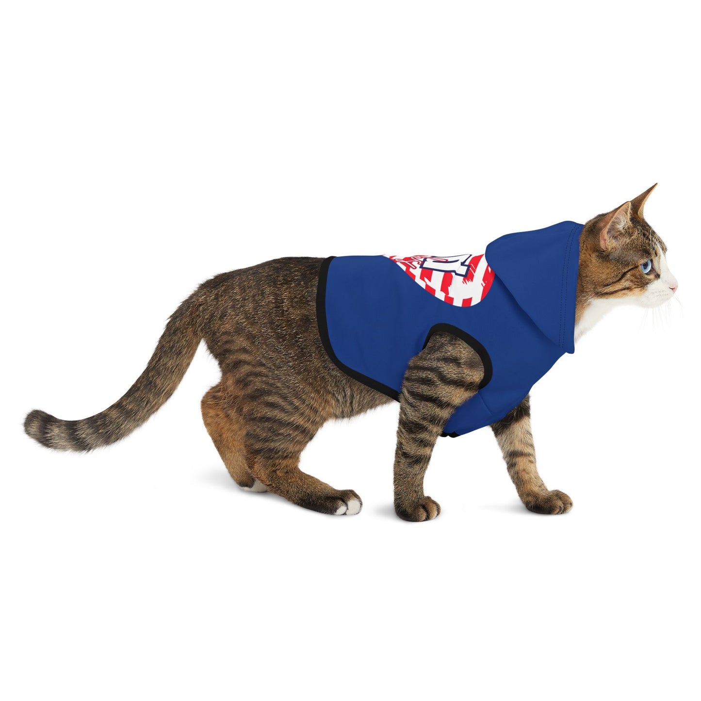 God Links Patriotic Pet Hoodie with Heart Design - Perfect for Dog Lovers and Celebrations