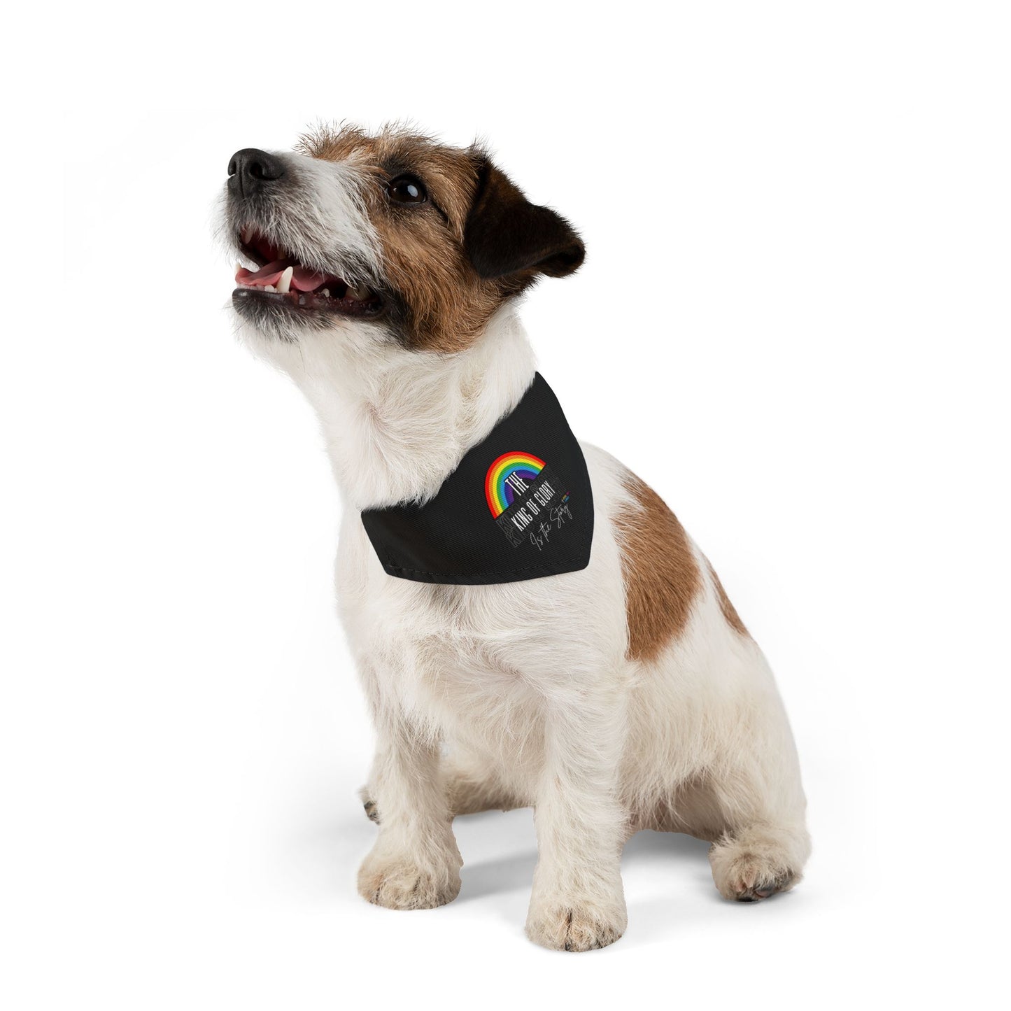 God Links Rainbow Pet Bandana Collar - Perfect for Dogs and Cats, Small and Medium
