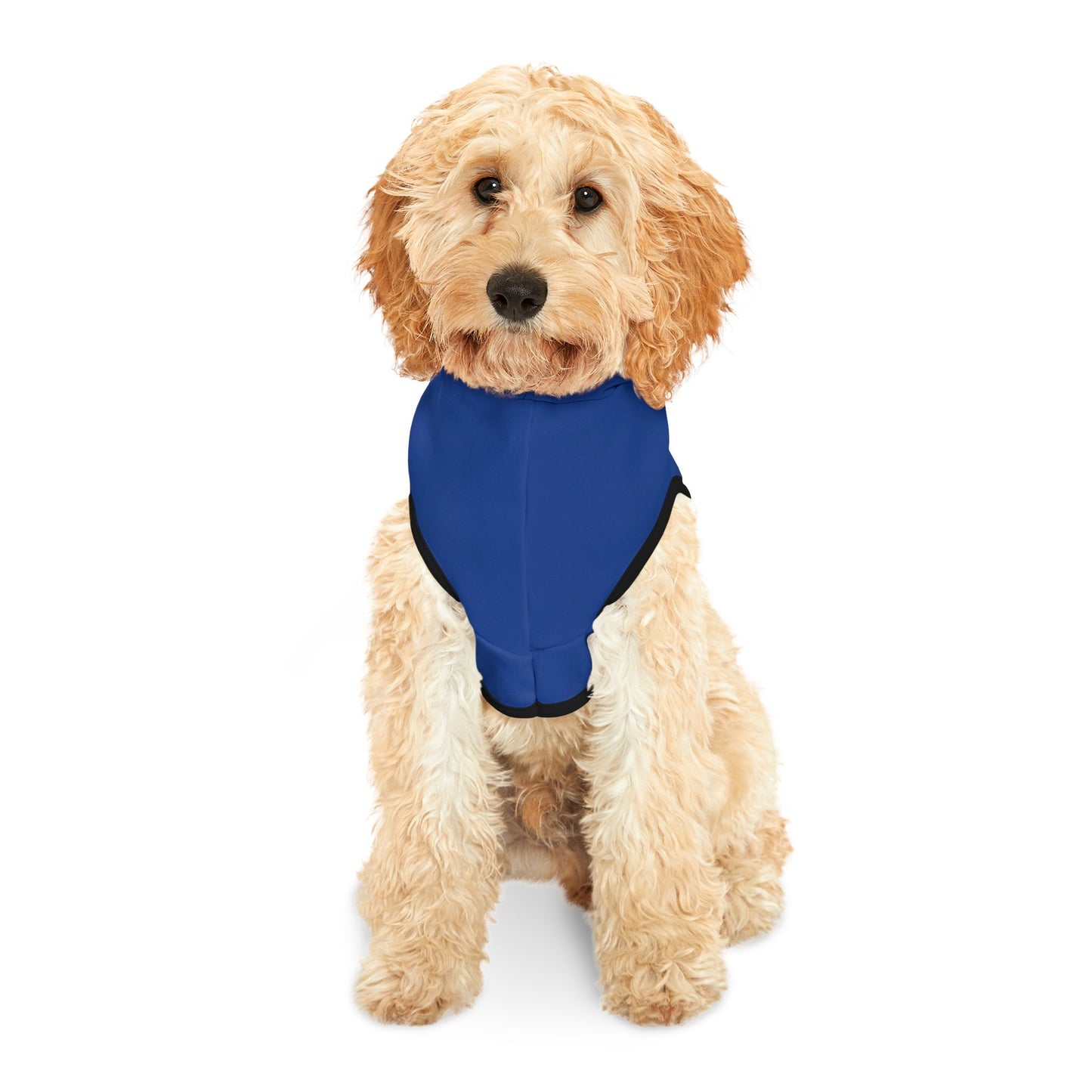 God Links Patriotic Pet Hoodie with Heart Design - Perfect for Dog Lovers and Celebrations